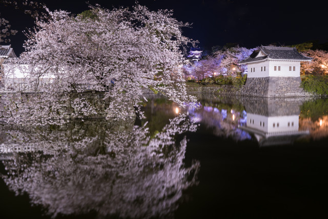 花の箱根